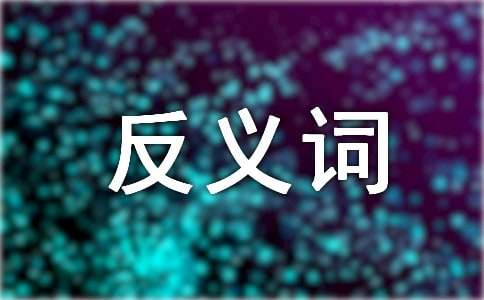 渺小的反義詞