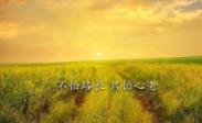 經典一句話語錄:有些話只想說給自己聽