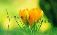 堅持，是成功者的一種習慣勵志日志