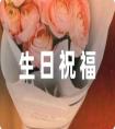 對嫂子說的生日祝福語精選39句