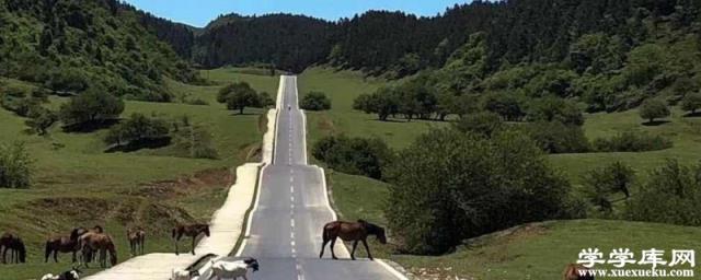 重慶武隆仙女山旅游攻略 重慶武隆仙女山旅游景點