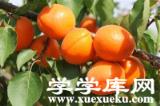 吉林有哪些特色水果 吉林的特產