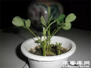 第三步 管理