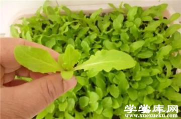 播種