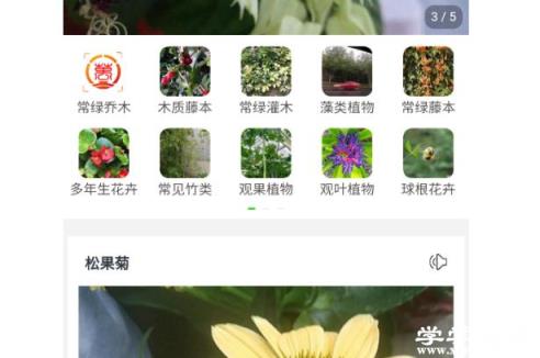 拍照識別植物的軟件有哪些 開發植物識別APP有何用途