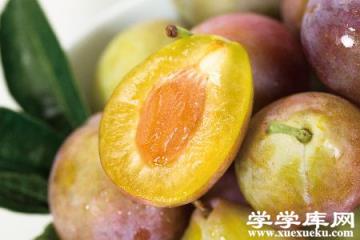 西梅