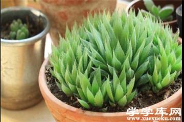 沒有毒 放心養
