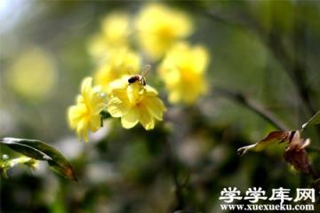 整枝剪定