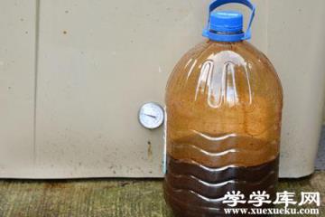 牡丹