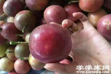 百香果
