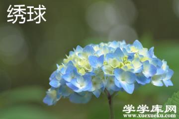 繡球