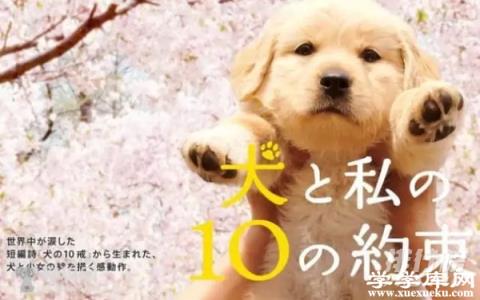 日本治愈電影豆瓣高分 日本溫暖治愈系的電影